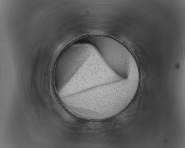 X0000089450145200707061249