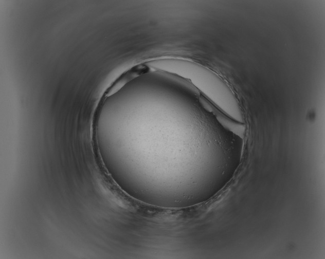 X0000089450148200707061249