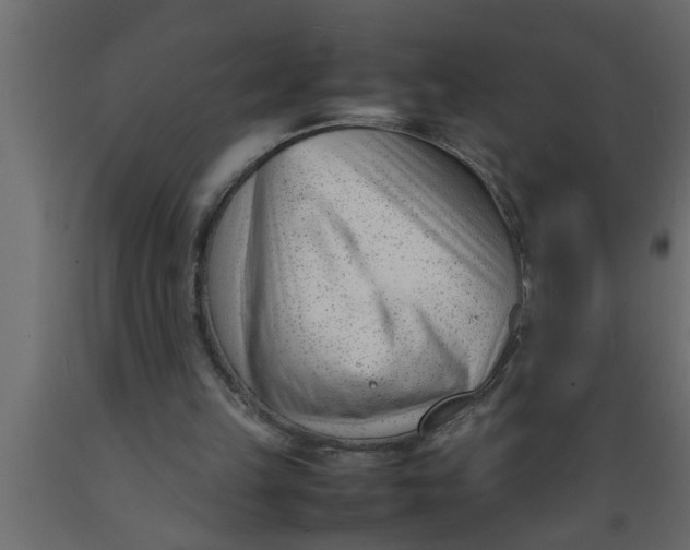 X0000089450149200707061249