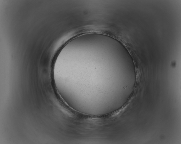 X0000089450150200707061249