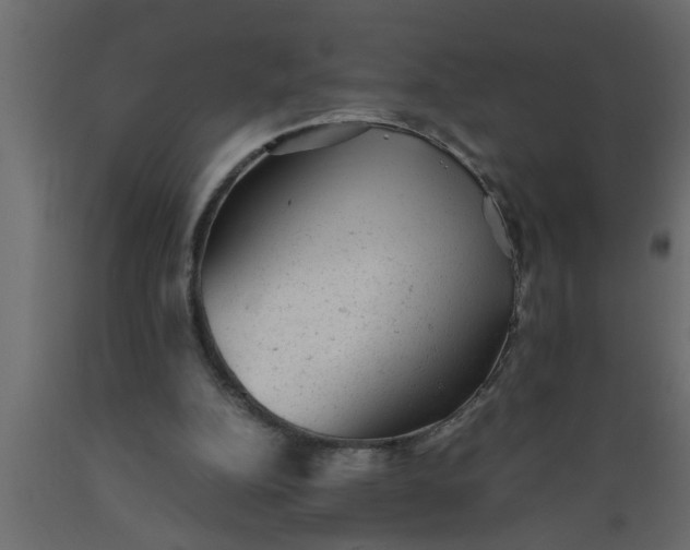 X0000089450152200707061249