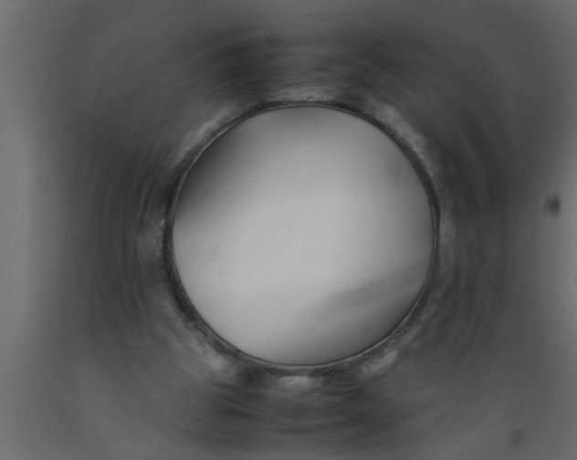 X0000089450153200707061249