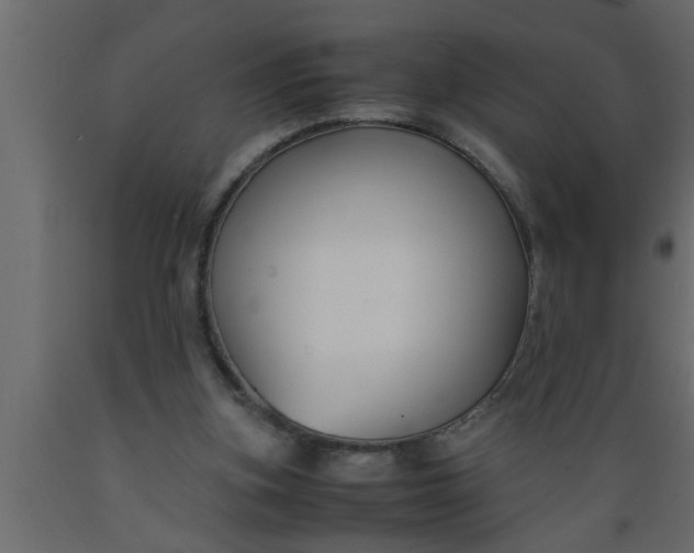 X0000089450155200707061249