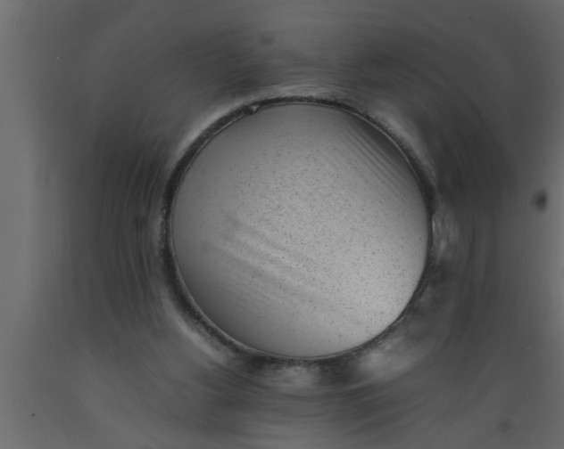 X0000089450156200707061249