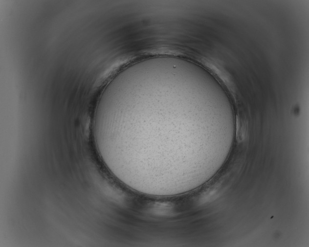 X0000089450157200707061249