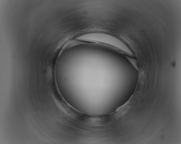 X0000089450158200707061249