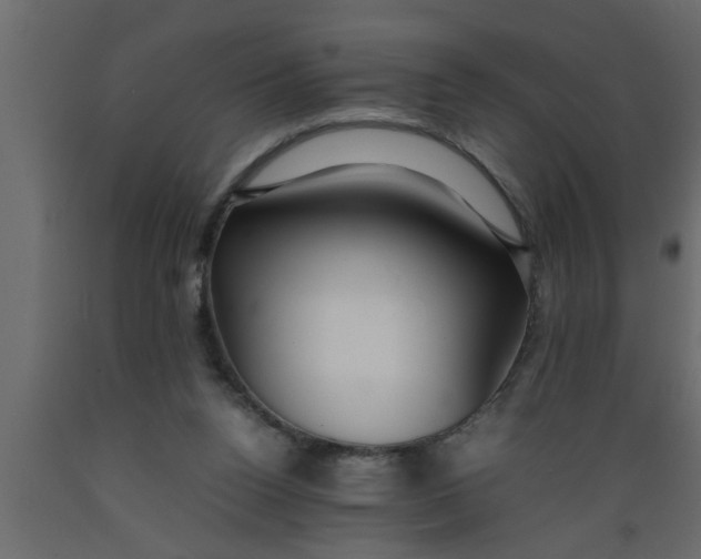 X0000089450160200707061249