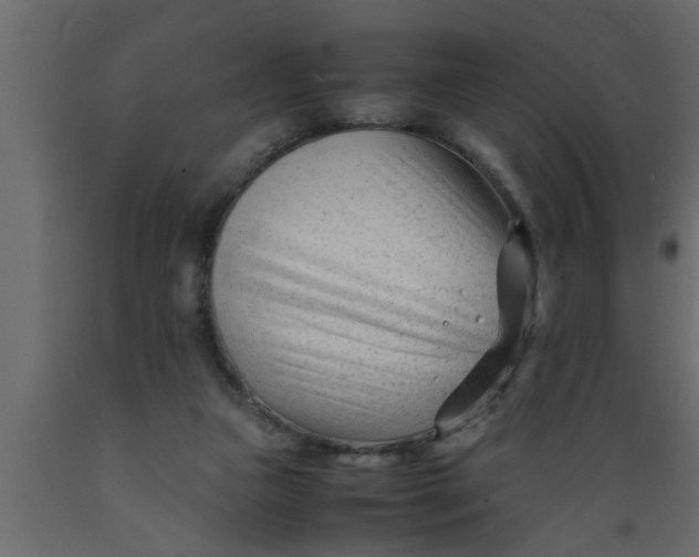 X0000089450161200707061249