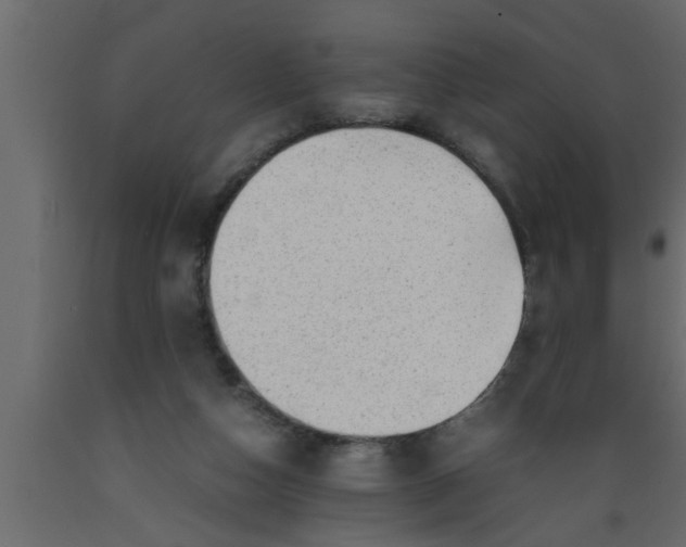 X0000089450162200707061249