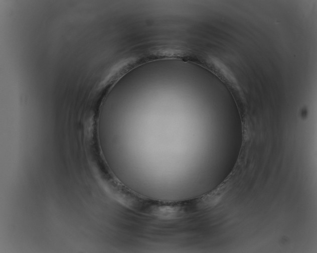 X0000089450163200707061249