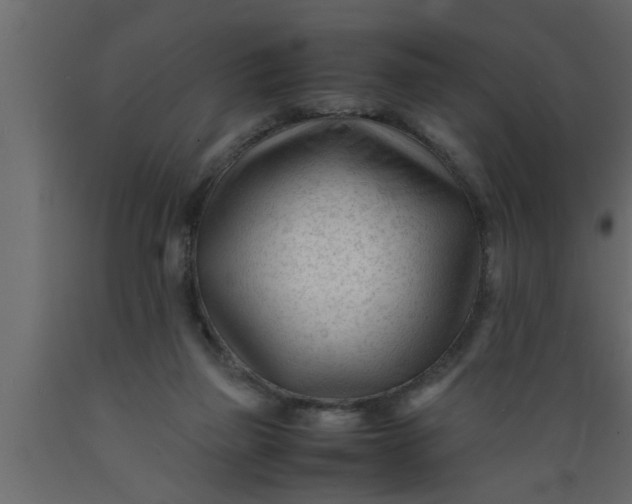 X0000089450165200707061249