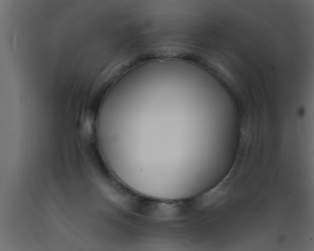 X0000089450166200707061249