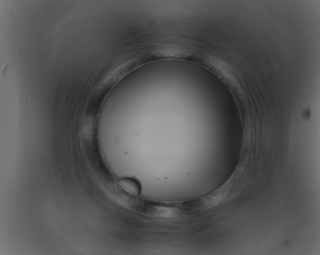 X0000089450167200707061249