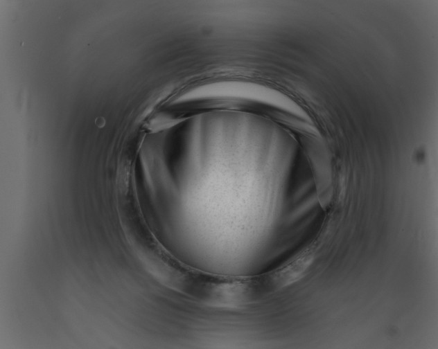 X0000089450168200707061249