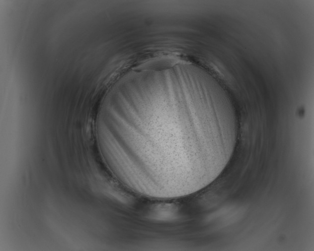 X0000089450169200707061249