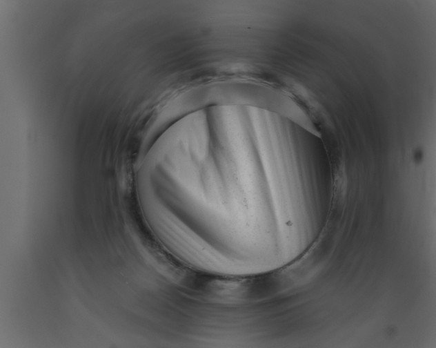 X0000089450170200707061249