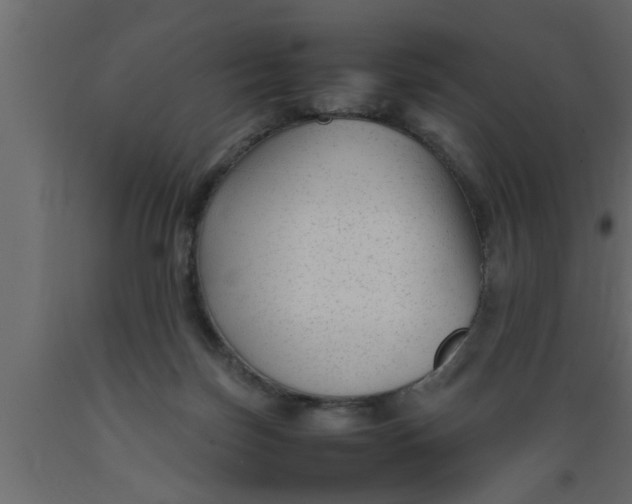 X0000089450171200707061249