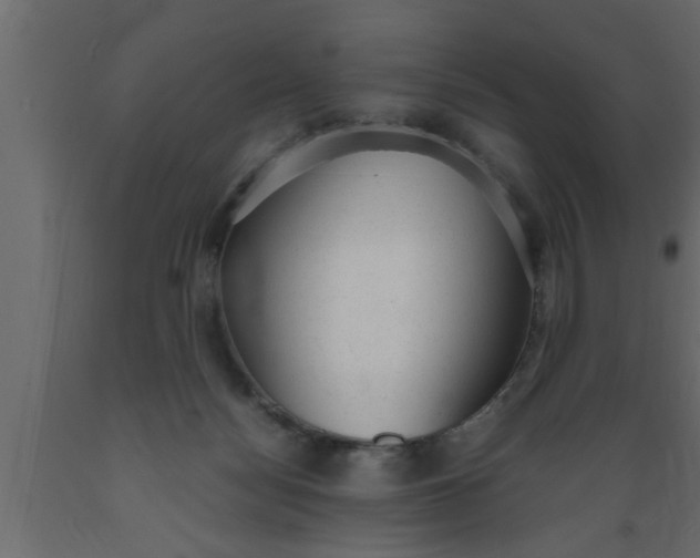 X0000089450172200707061249