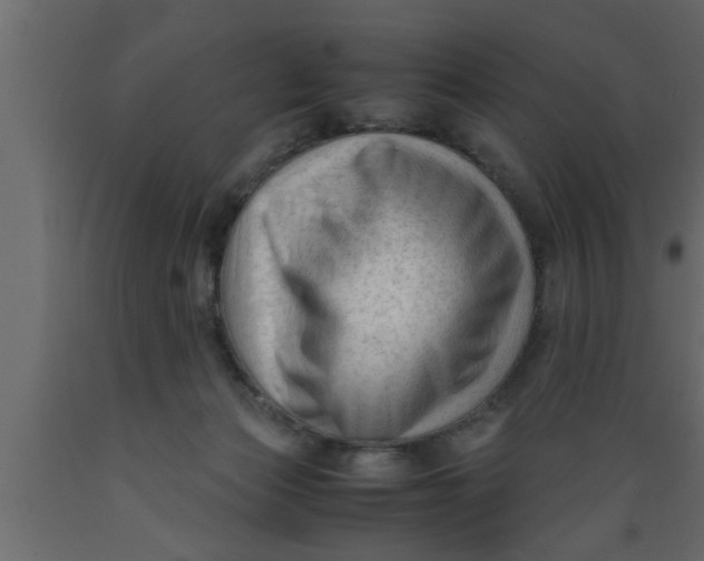 X0000089450173200707061249