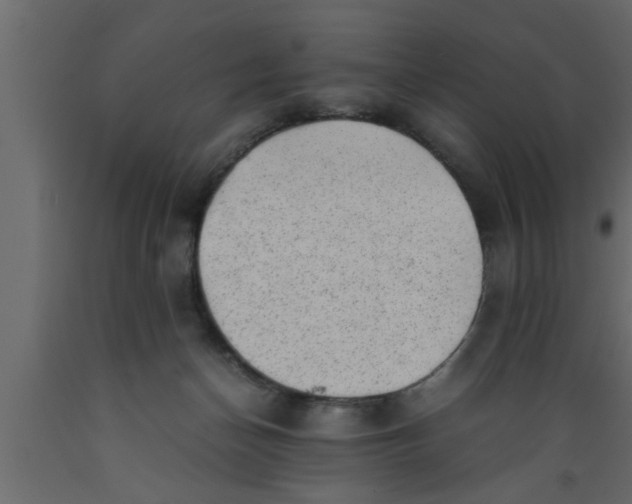 X0000089450174200707061249