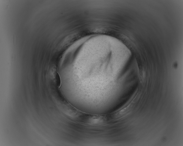 X0000089450175200707061249