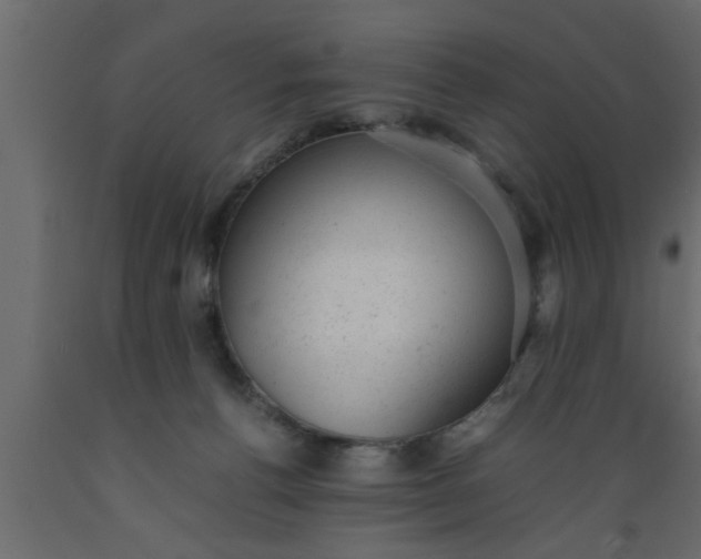 X0000089450176200707061249