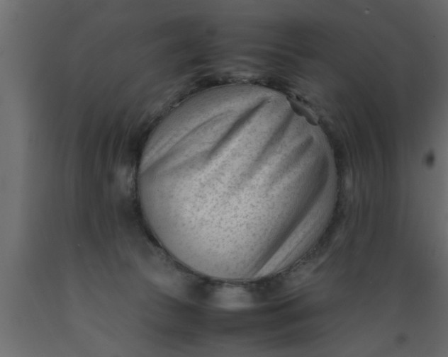 X0000089450177200707061249