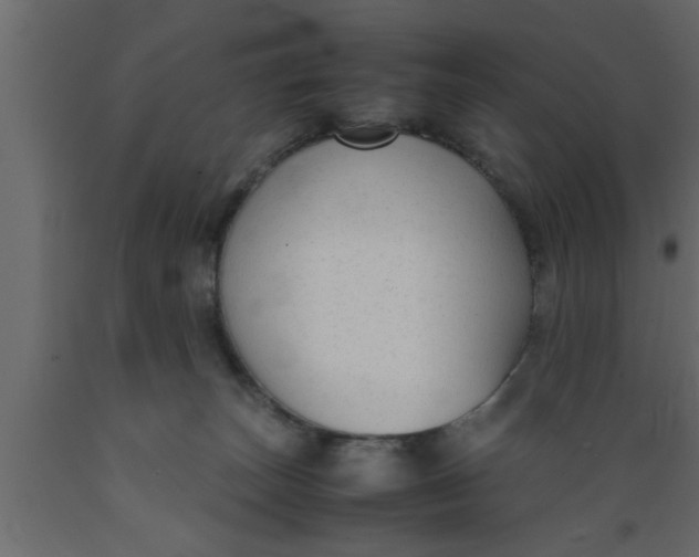 X0000089450179200707061249