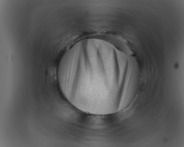 X0000089450182200707061249