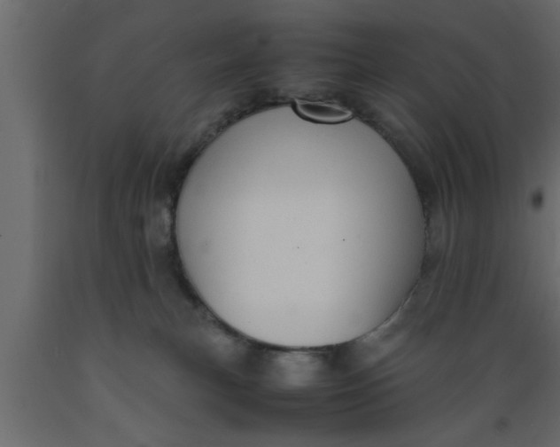 X0000089450183200707061250