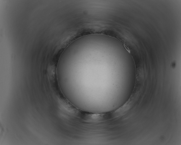 X0000089450184200707061250