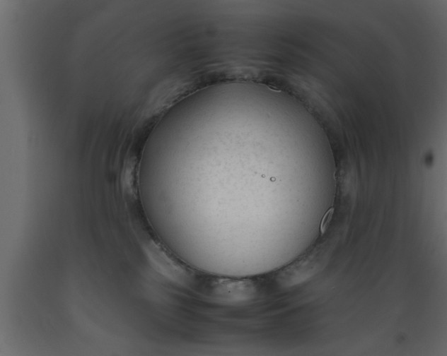 X0000089450185200707061250