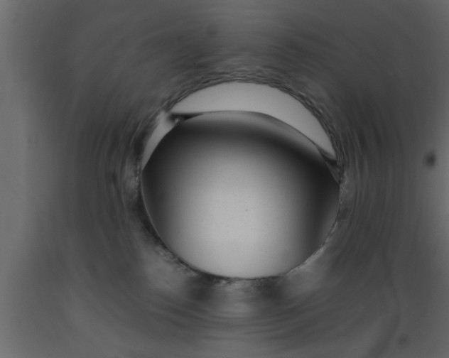 X0000089450186200707061250