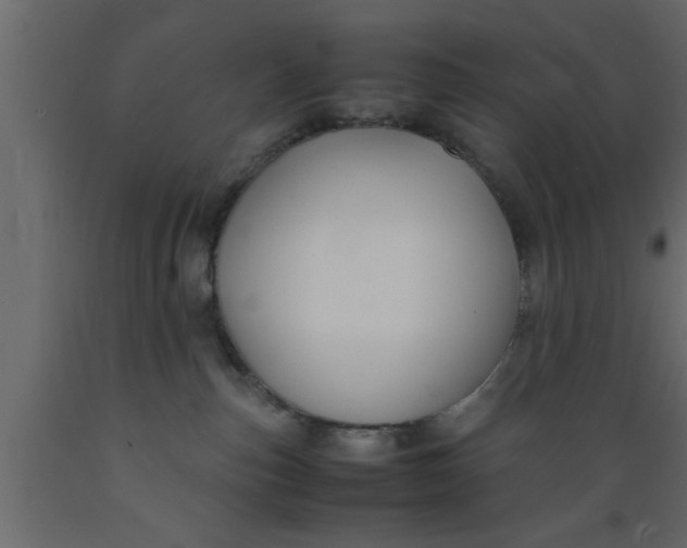 X0000089450187200707061250