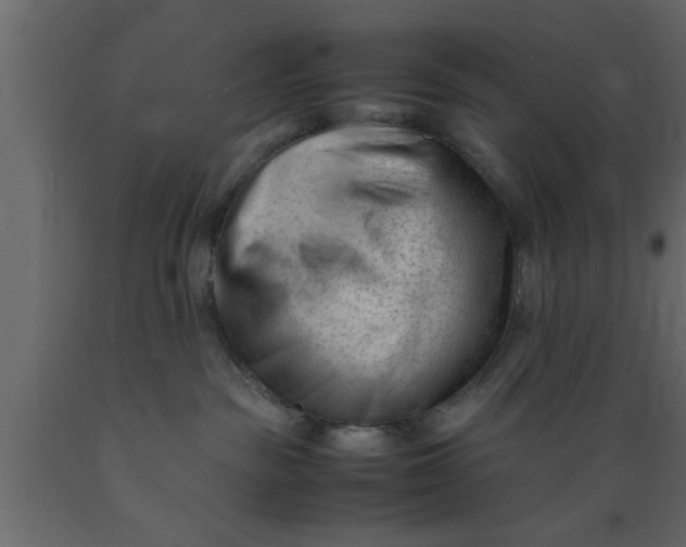 X0000089450189200707061250