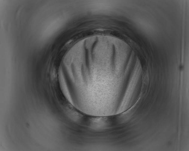 X0000089450191200707061250