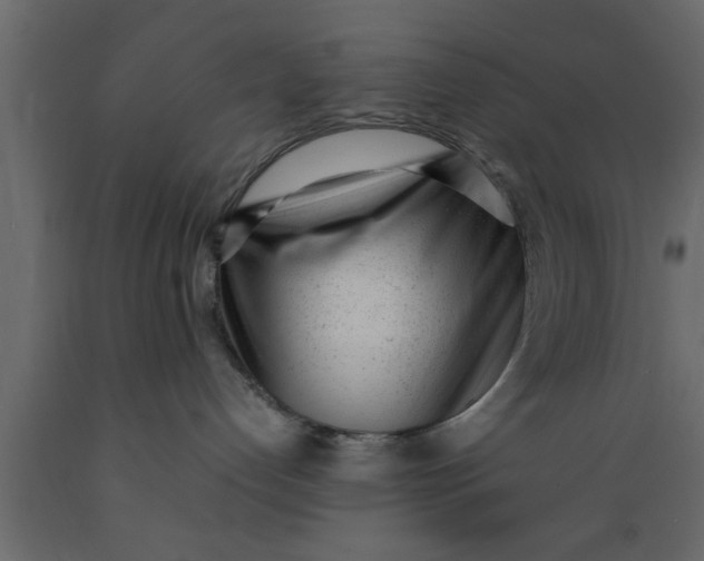 X0000089450192200707061250