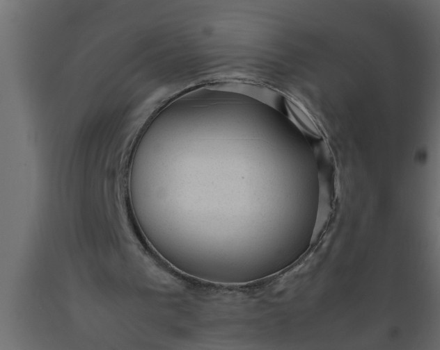 X0000089450193200707061249