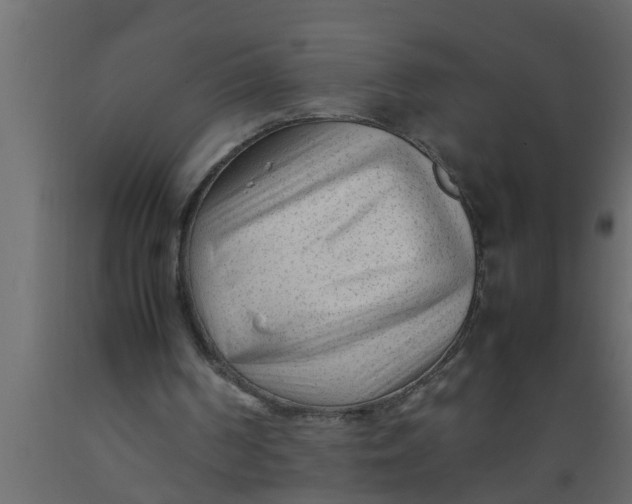 X0000089450194200707061249