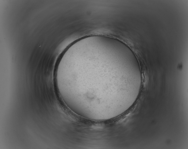 X0000089450196200707061249