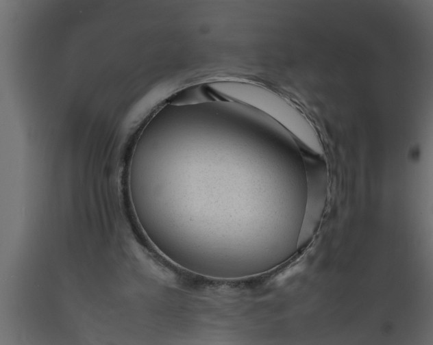 X0000089450197200707061249