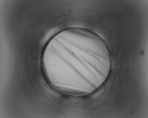 X0000089450199200707061249