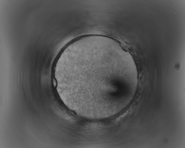 X0000089450200200707061249