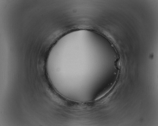 X0000089450201200707061249