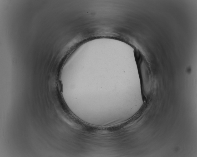 X0000089450203200707061249