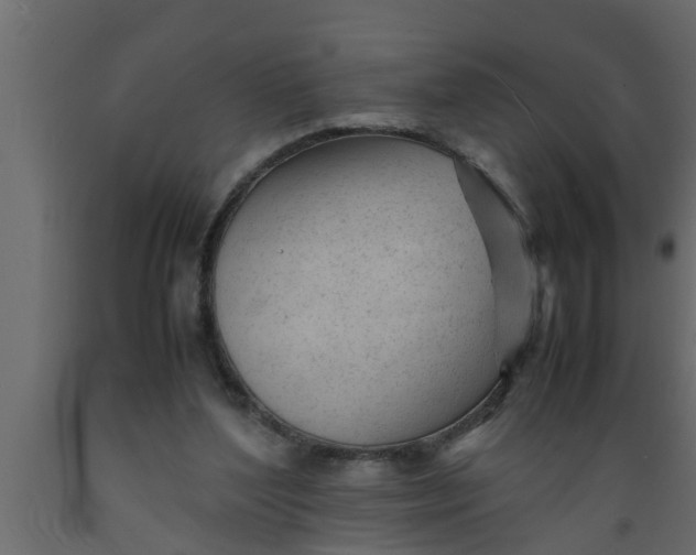 X0000089450204200707061249