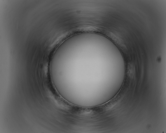 X0000089450206200707061249