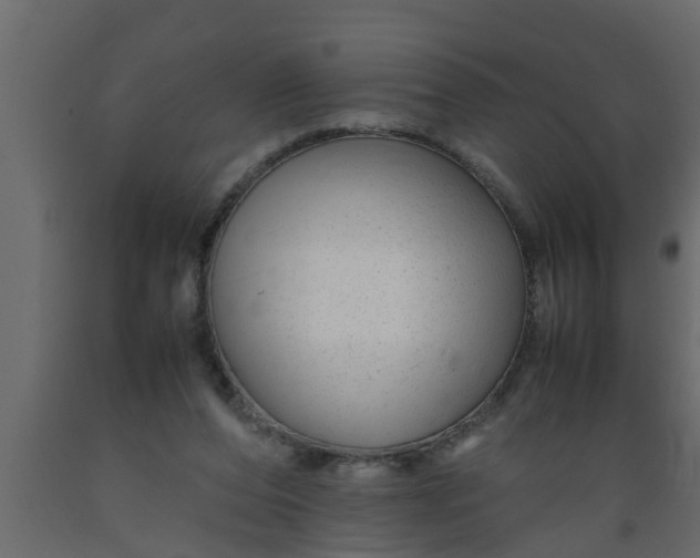 X0000089450208200707061249