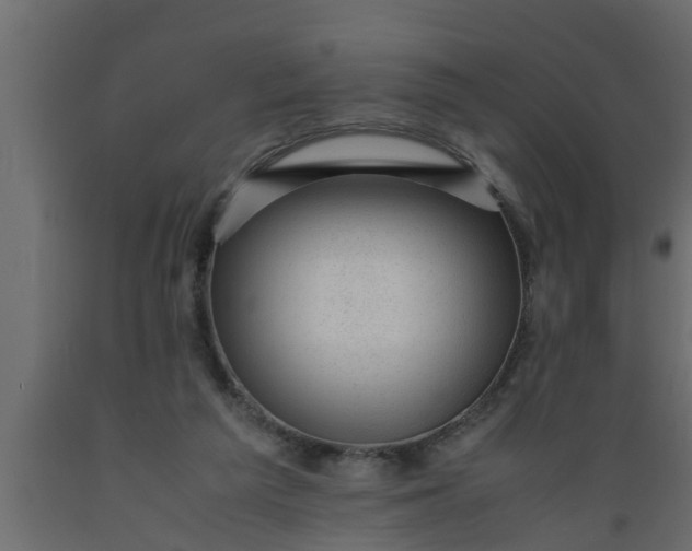 X0000089450209200707061249