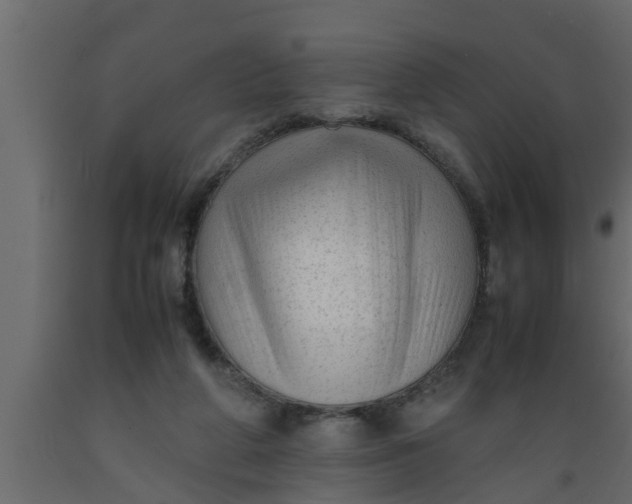 X0000089450210200707061249